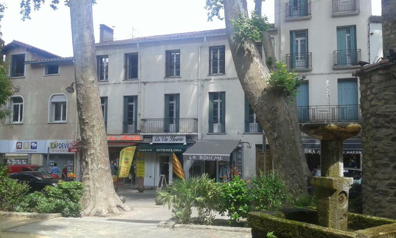 Cal Erre Appartement Céret Buitenkant foto